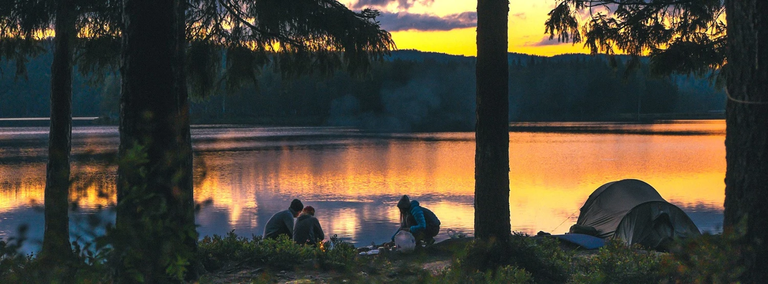 WildBounds Online Shop -WildBounds Online Shop 89349953 2949790468404512 4176527662937800704 n