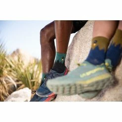 Darn Tough Number 2 Micro Crew Midweight W/ Cushion | Men's