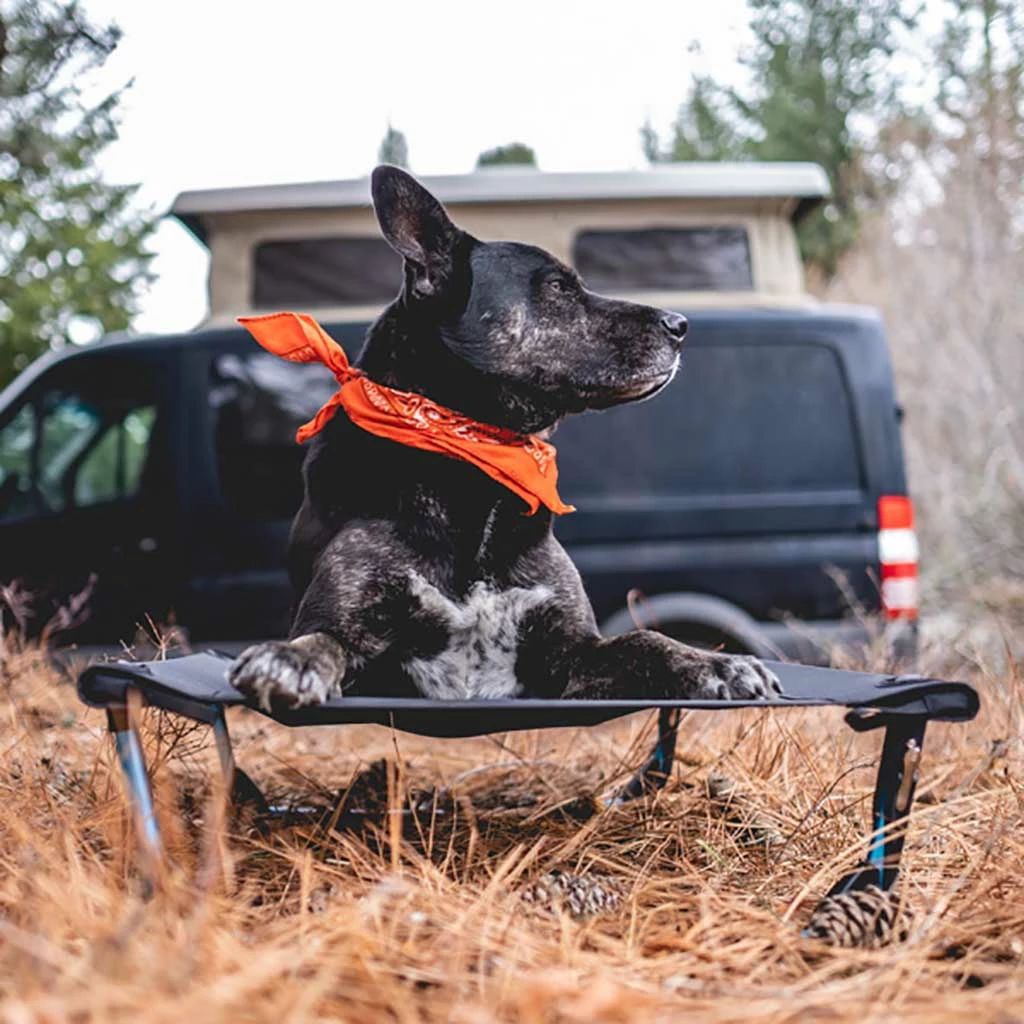 Helinox New Elevated Dog Cot 5 Helinox New Elevated Dog Cot