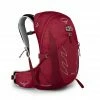 Osprey Bags & EDC Talon 22 Backpack | Men's 1 Osprey Bags & EDC Talon 22 Backpack | Men's