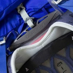 Osprey Bags & EDC Tempest 20 Backpack | Women's 25 Osprey Bags & EDC Tempest 20 Backpack | Women's