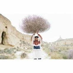 Picture Organic Delva Jacket | Women's New 48 Picture Organic Delva Jacket | Women's New