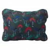 Therm-a-Rest Camping Kit Compressible Pillow Cinch